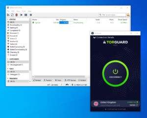 TorGuard-Torrenting