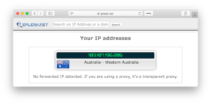 protonvpn-ip-leak-test